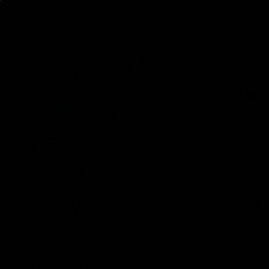 Meet your Posher, Hayley